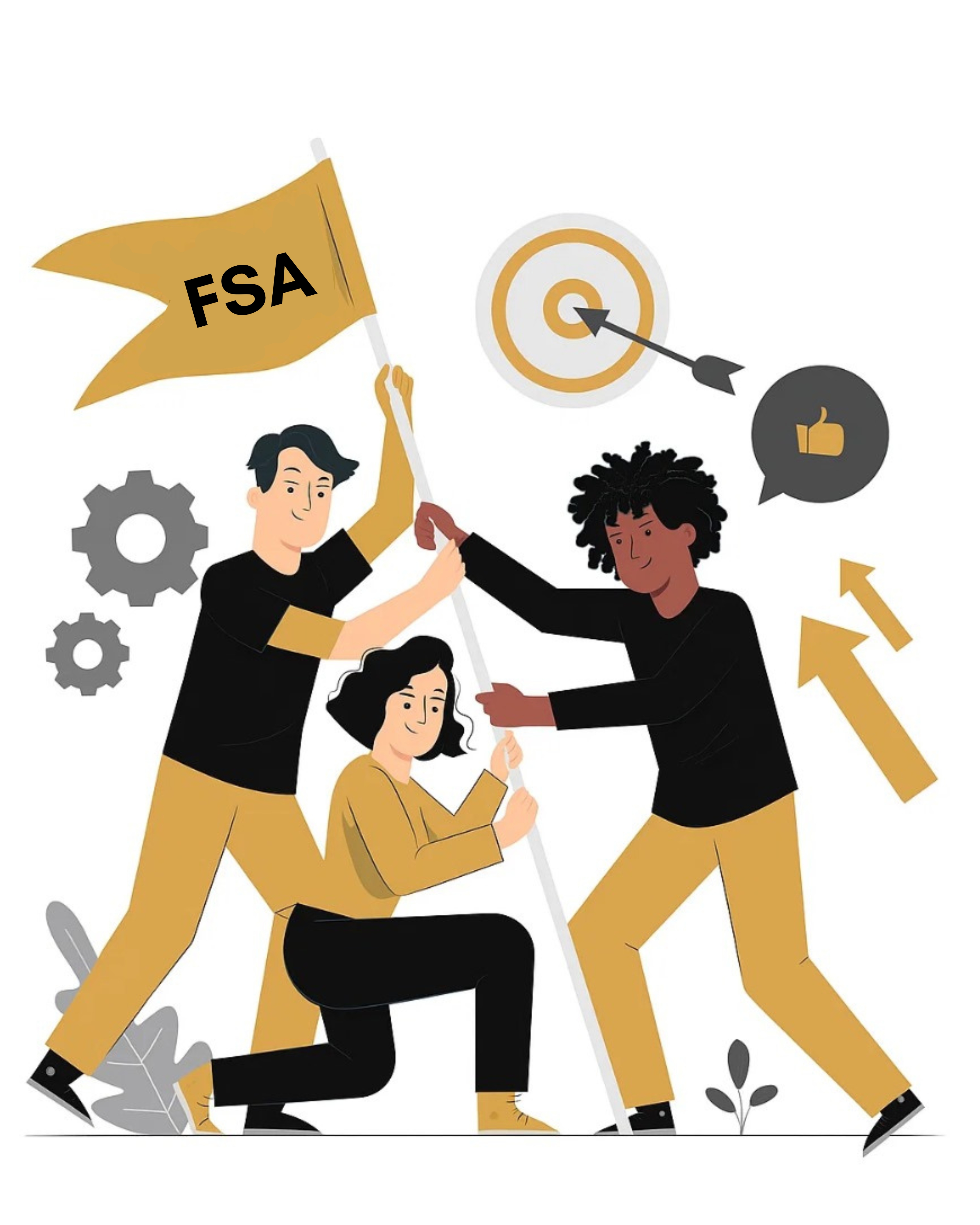 About FSA Enterprises